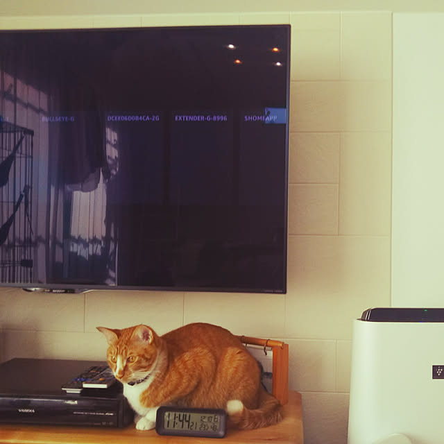 Amiamiさんの実例写真