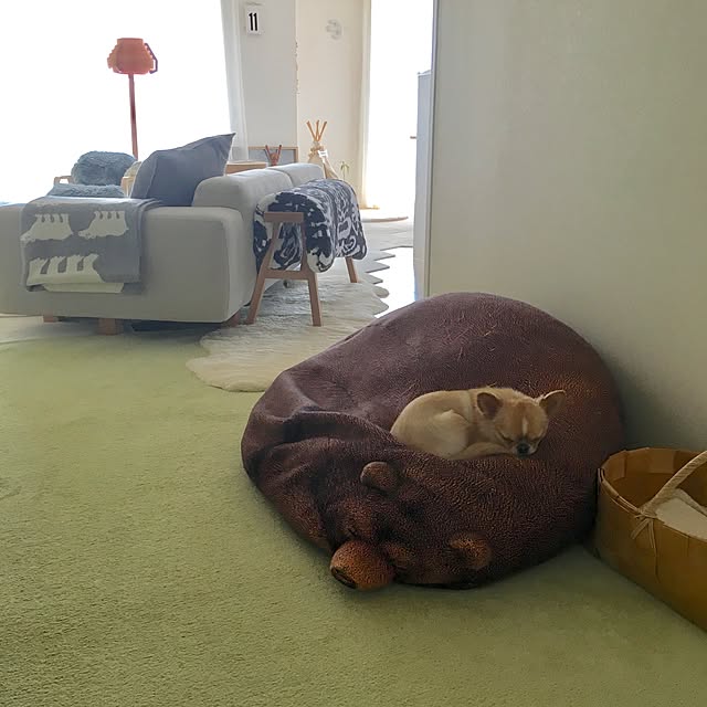 haruhinaさんの実例写真
