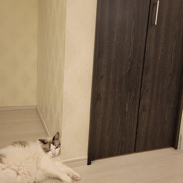 miruさんの実例写真