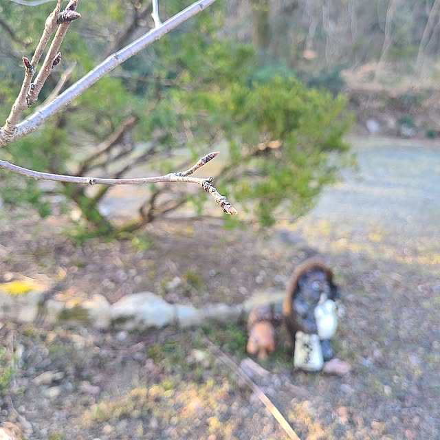Rubiconさんの部屋