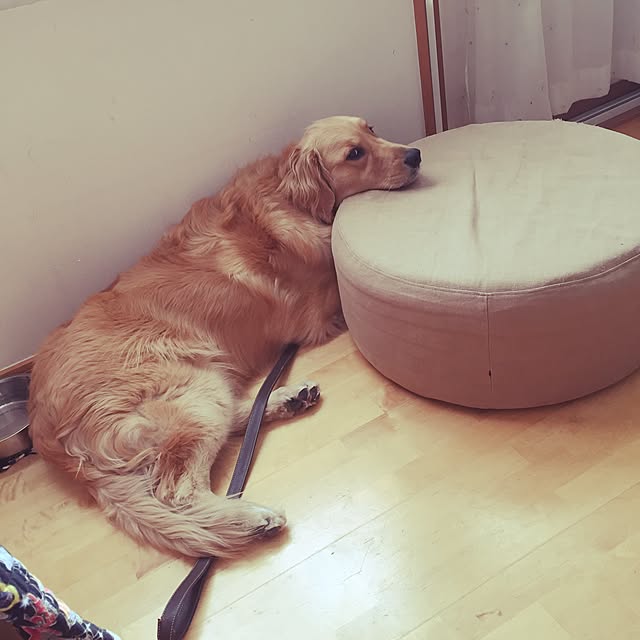 bigsunny0103さんの実例写真