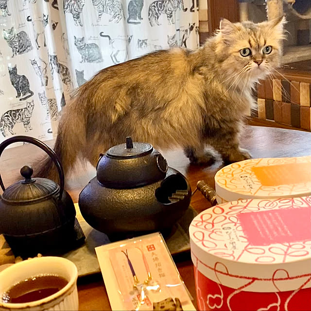 butachanさんの実例写真