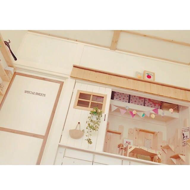 mintcatさんの実例写真