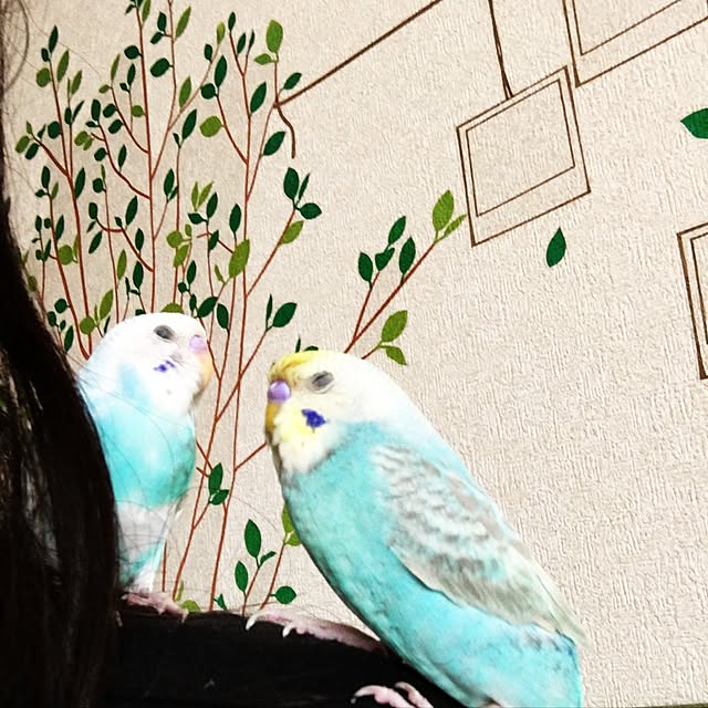 Mozumama6789さんの実例写真
