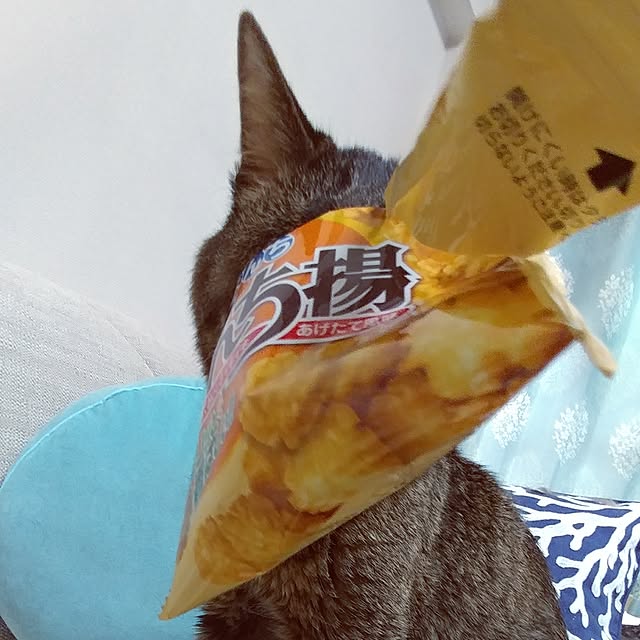 kittenblueさんの実例写真