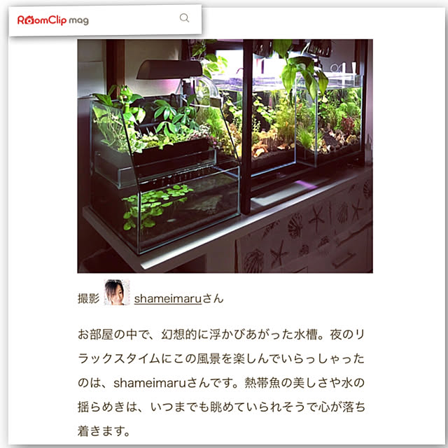 FUさんの実例写真