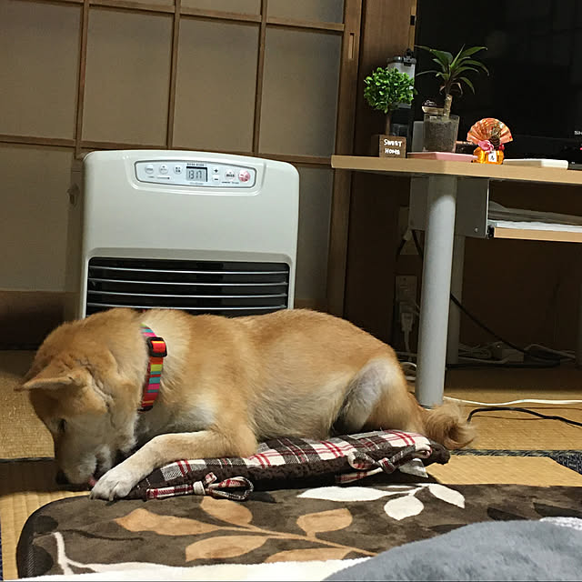 kyukoさんの実例写真