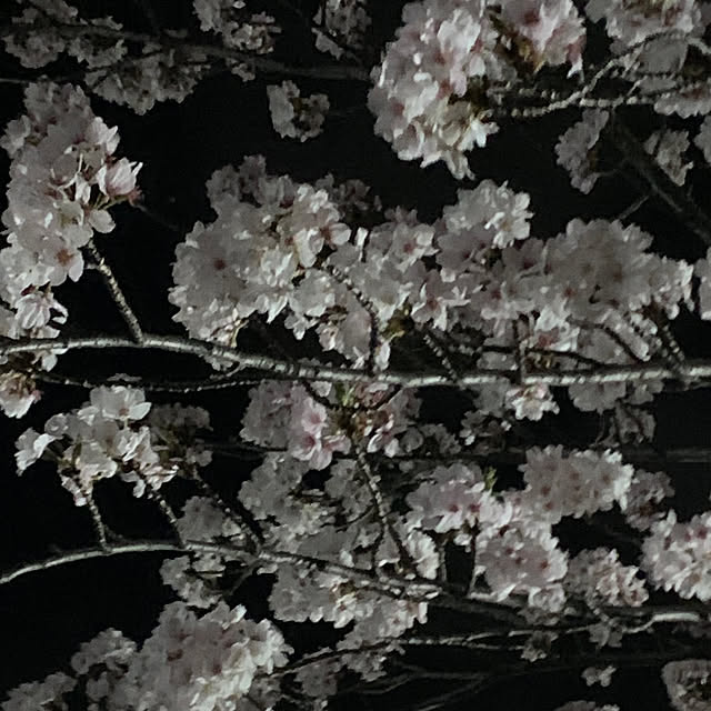 Aqettyさんの部屋