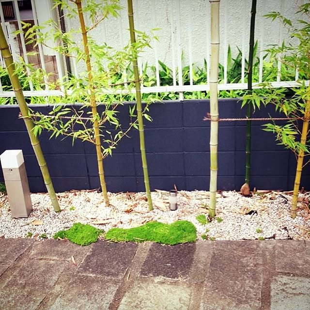Naotoさんの実例写真