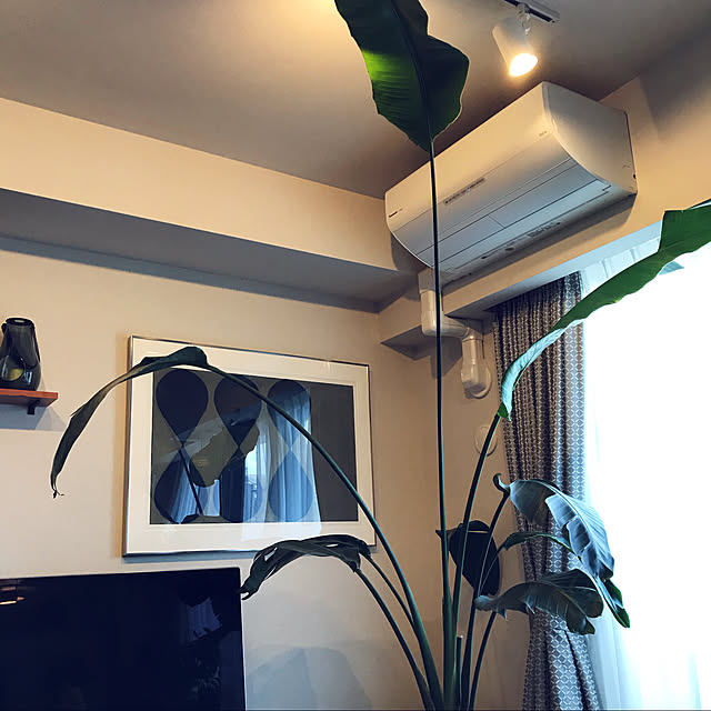 naoveさんの実例写真
