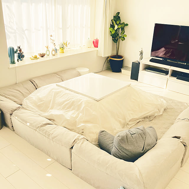 Zucoさんの実例写真