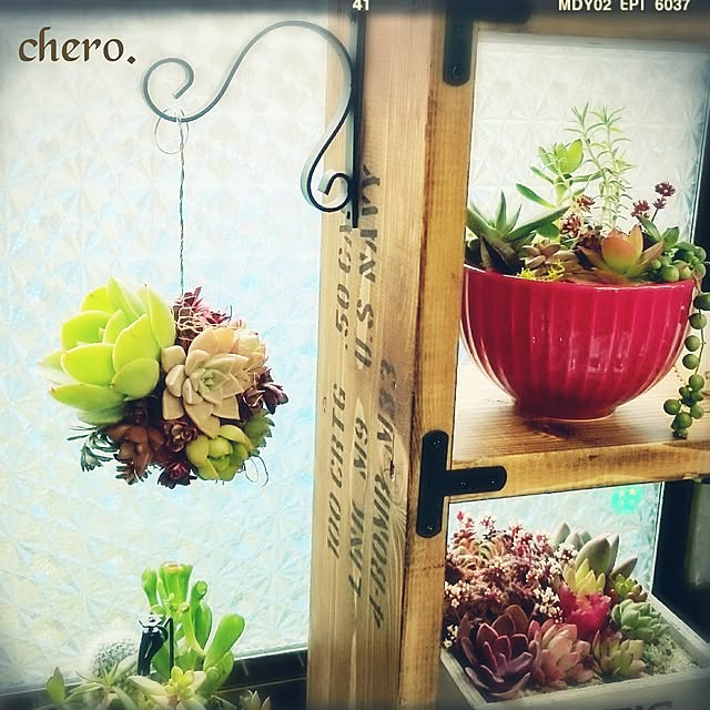 chero.さんの実例写真