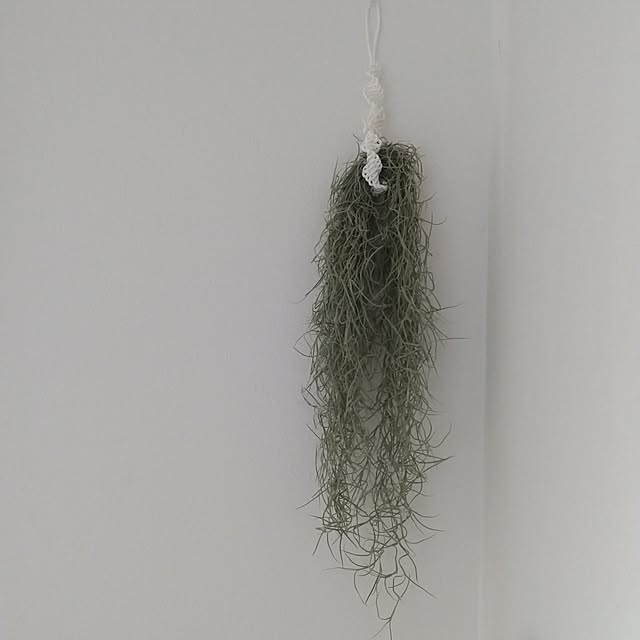 sakiさんの部屋
