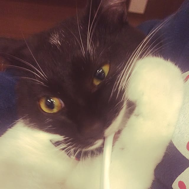 taeさんの実例写真