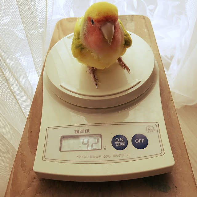 keinagen91さんの実例写真
