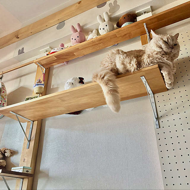 naokoさんの部屋