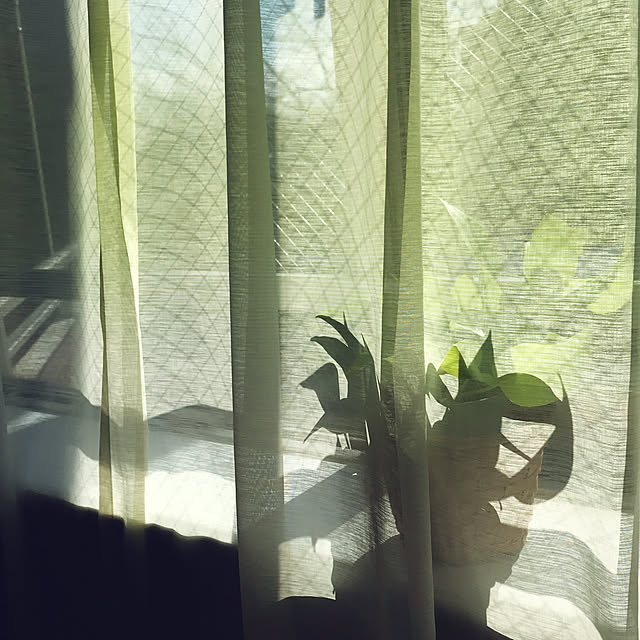 yurincaさんの実例写真
