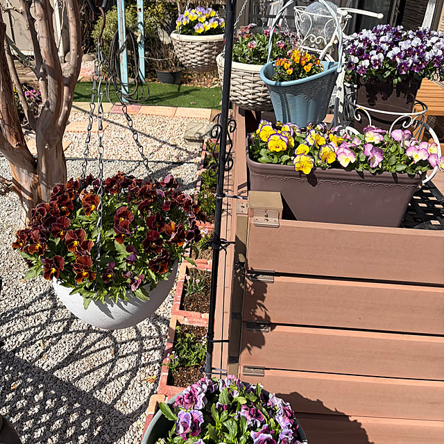 ronronさんの部屋