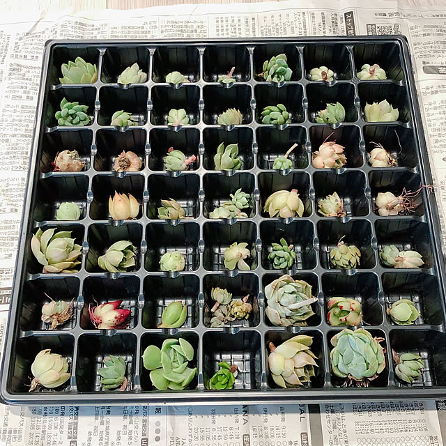 yukiminさんの部屋