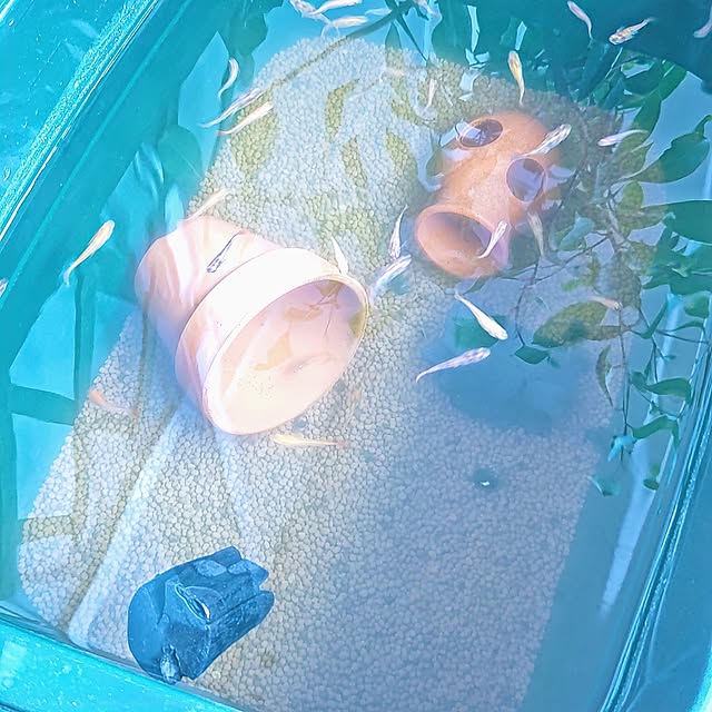 mariaさんの実例写真