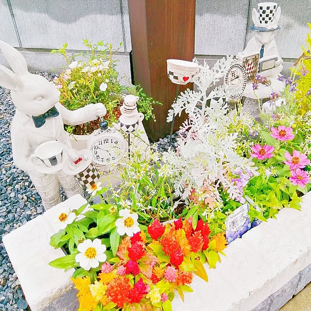 PIMPLE-PINKYさんの部屋