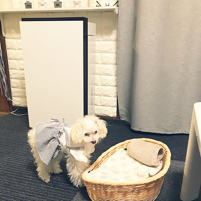flowerさんの実例写真