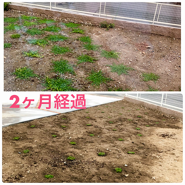 sk72zyp3さんの実例写真