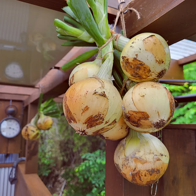 yukiさんの実例写真