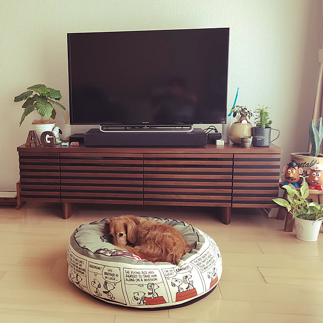 magさんの実例写真