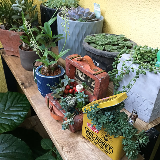 natulove0418さんの実例写真