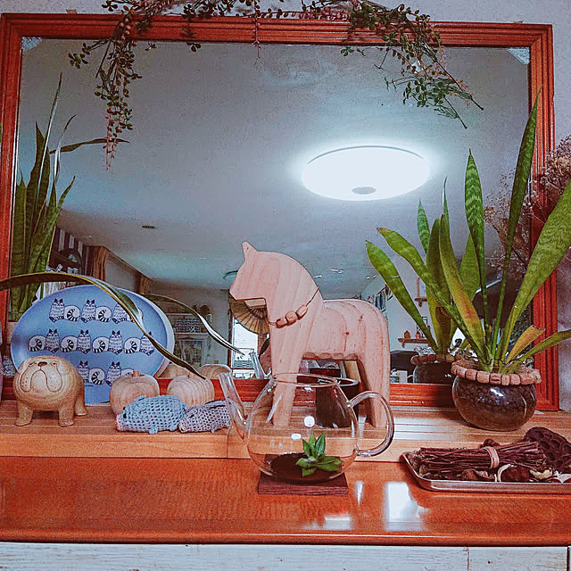 kikiさんの実例写真