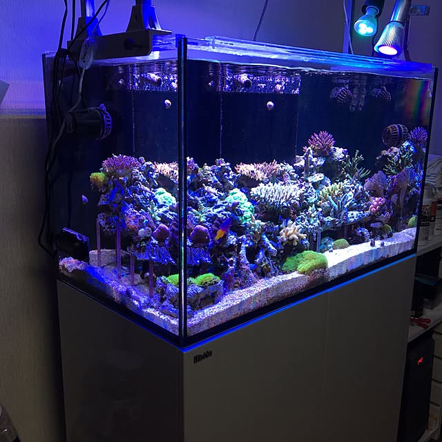 aquarium_seaさんの実例写真