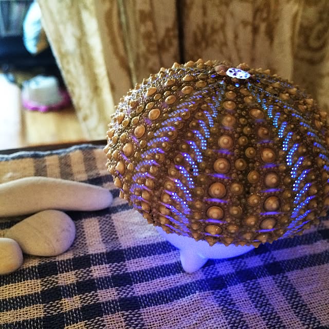 handmadeyunさんの実例写真