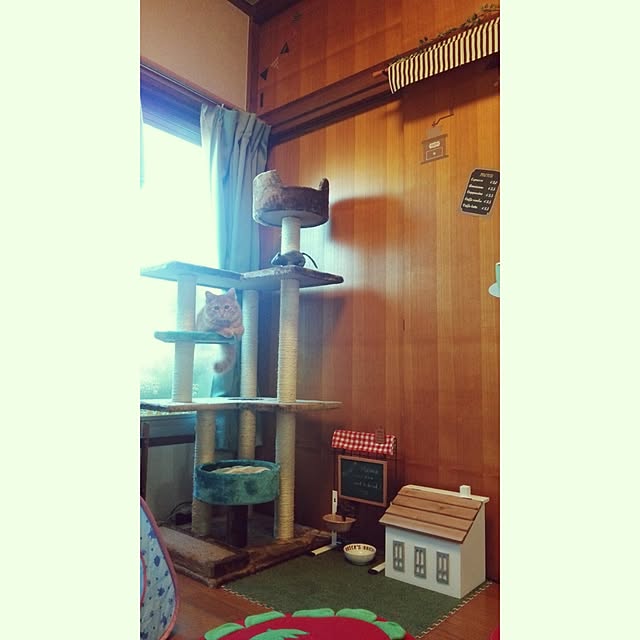 shirabenさんの実例写真