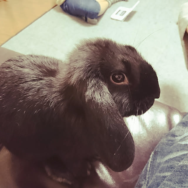 r26743024さんの実例写真