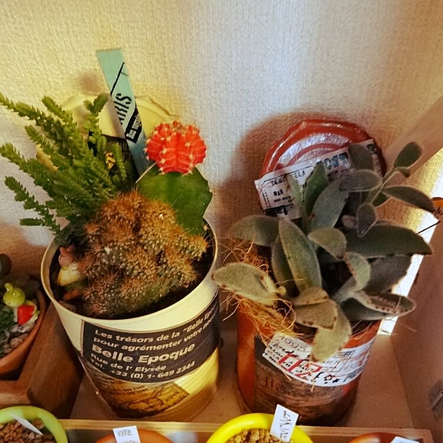 minaさんの実例写真