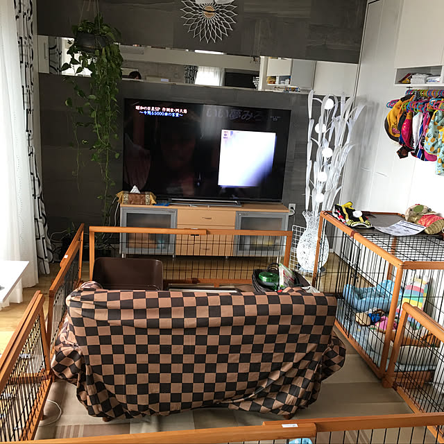 Masatoさんの実例写真