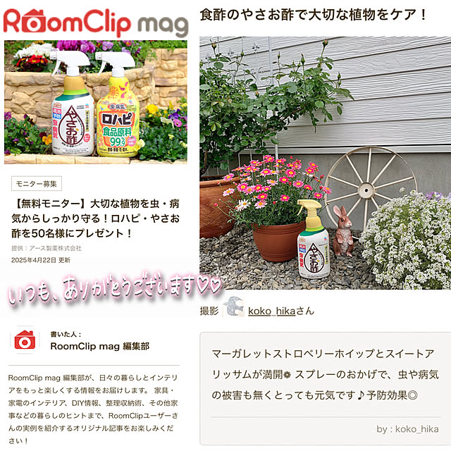koko_hikaさんの部屋