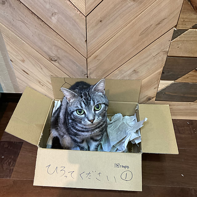 r.t.mamaさんの実例写真
