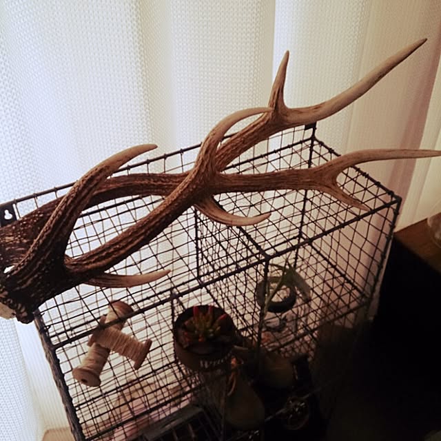 mikaさんの実例写真