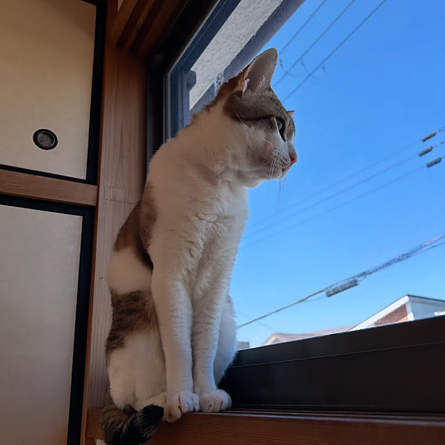 pontaさんの実例写真