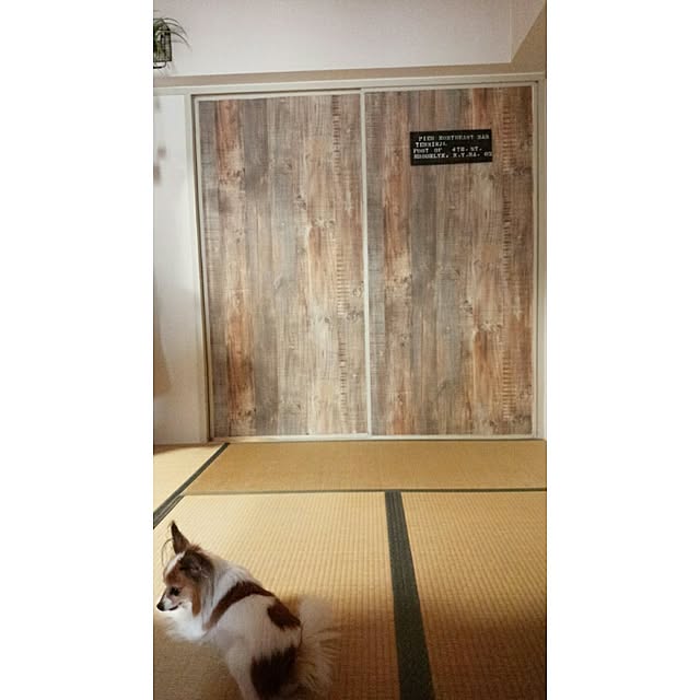 Kaさんの実例写真