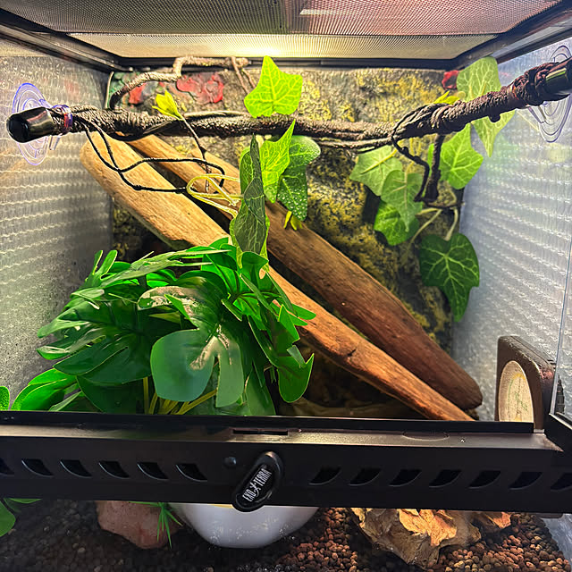 otanuさんの部屋