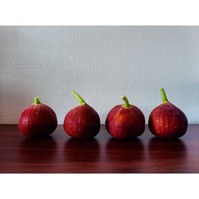 waniwaniさんの実例写真