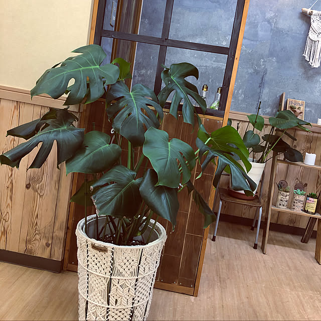 dddhhhさんの実例写真