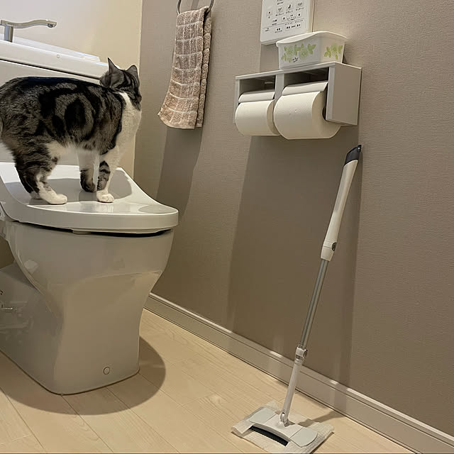 taMAさんの実例写真