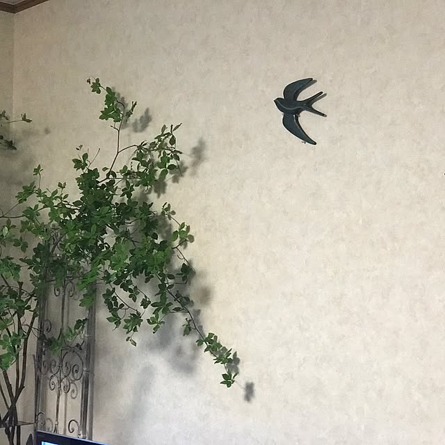 yukiさんの実例写真