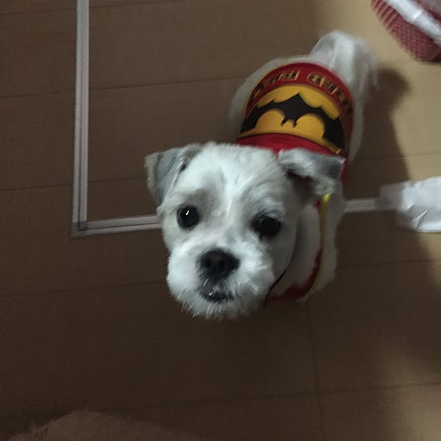 emiさんの実例写真