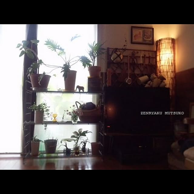 Mutsuo さんの実例写真