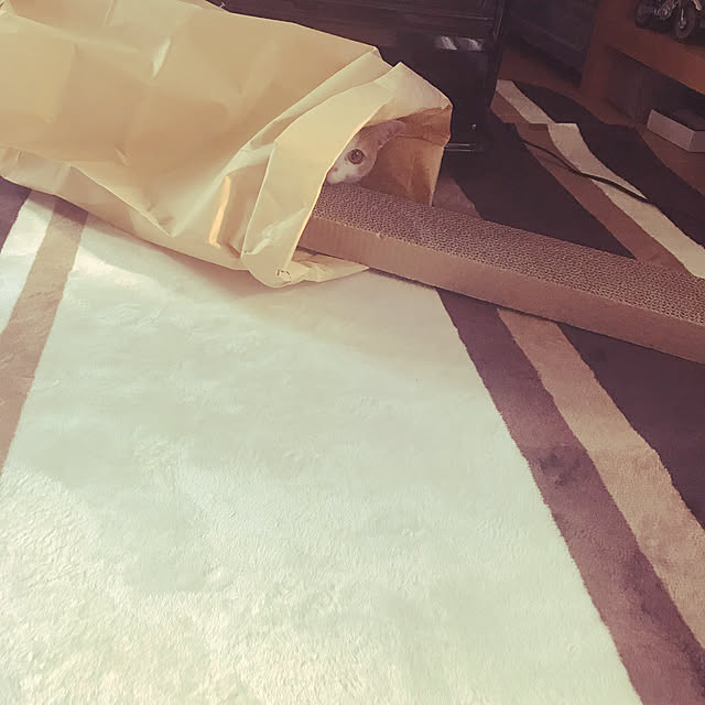 kou-kitiさんの実例写真
